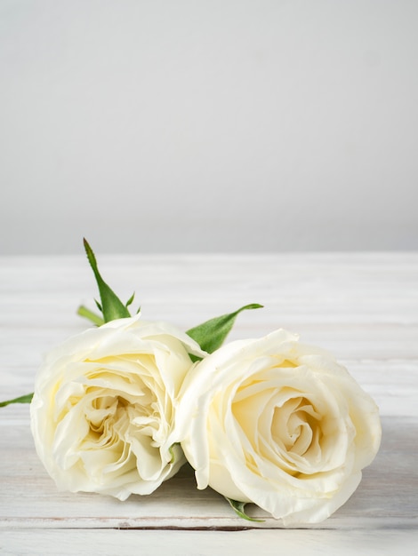 Rosas brancas em uma mesa de madeira branca