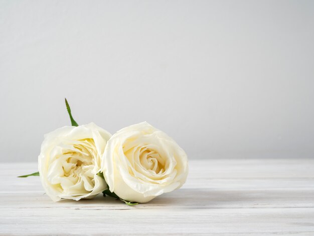 Rosas brancas em uma mesa de madeira branca