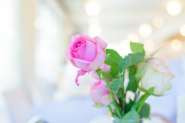 Foto rosas cor de rosa em copo de água na mesa branca