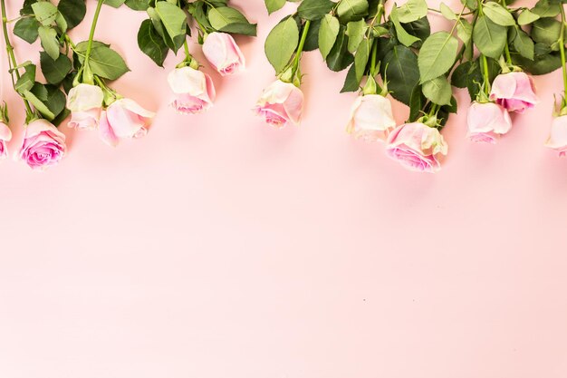 Rosas cor de rosa em fundo rosa.