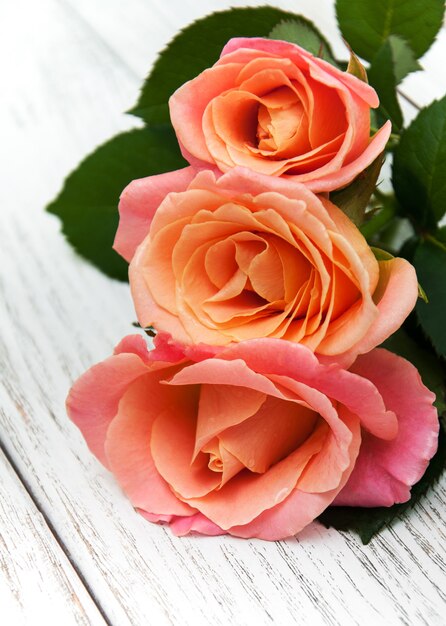 Rosas cor de rosa em um fundo de madeira