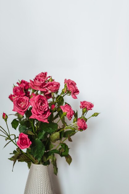 Rosas cor de rosa em um vaso