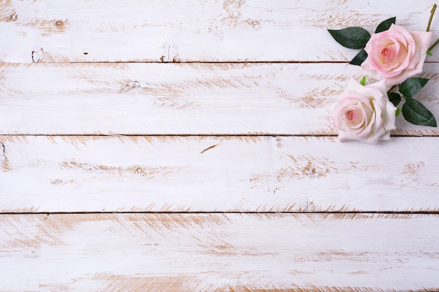 Foto rosas cor de rosa na mesa de madeira pintada de branco