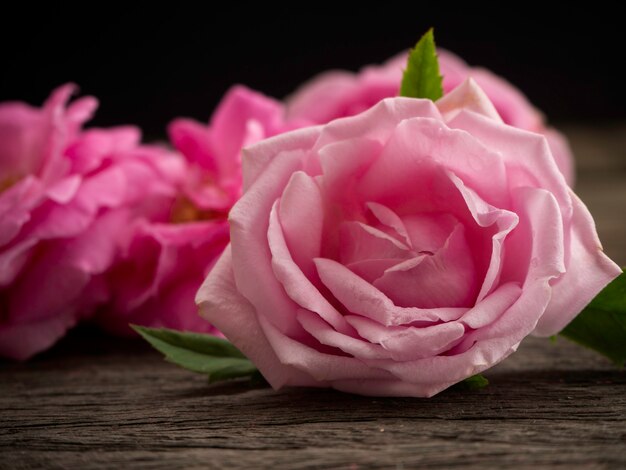 Rosas cor de rosa no chão de madeira velho.