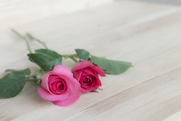 Rosas cor de rosa no dia dos namorados, fundo romântico (efeito vintage)