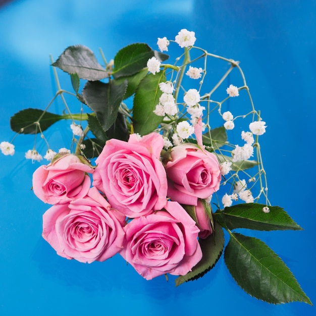 Foto rosas cor de rosa sobre fundo azul. posição plana, vista de cima