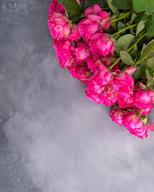 Rosas cor de rosa sobre fundo cinza