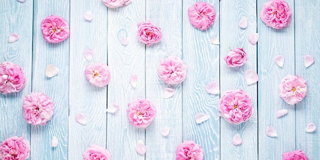 Rosas cor de rosa sobre fundo de festa de meninas de pranchas de madeira azuis