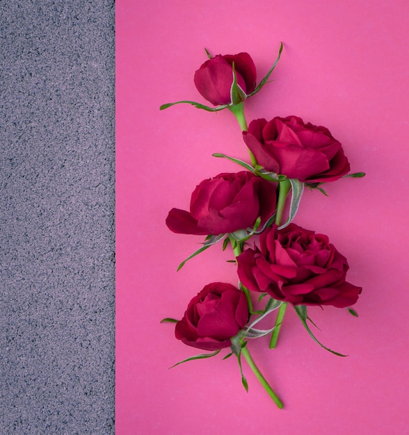 Rosas cor de rosa vermelhas brilhantes em um fundo rosa Cartão postal com lugar para design