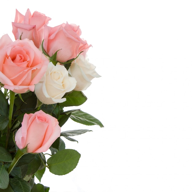 Rosas para el día de la boda.