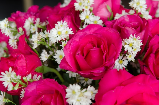 rosas para el día de San Valentín