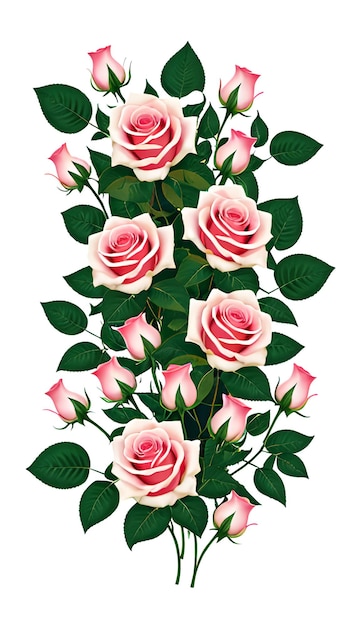 Rosas e flores em um fundo branco