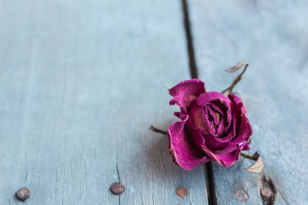 Rosas em um de madeira