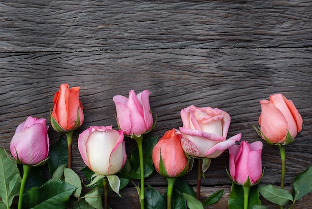 Rosas em um fundo de madeira. Flores de cores diferentes em uma superfície de madeira escura