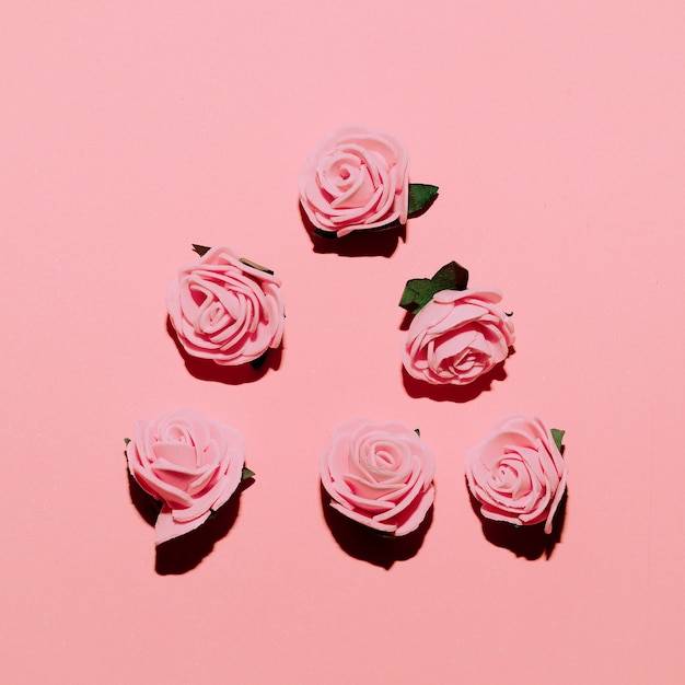 Rosas em um fundo rosa. Arte minimalista