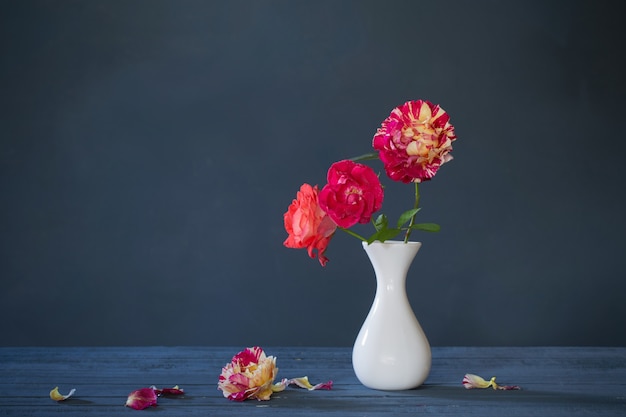 Rosas em um vaso em fundo azul escuro