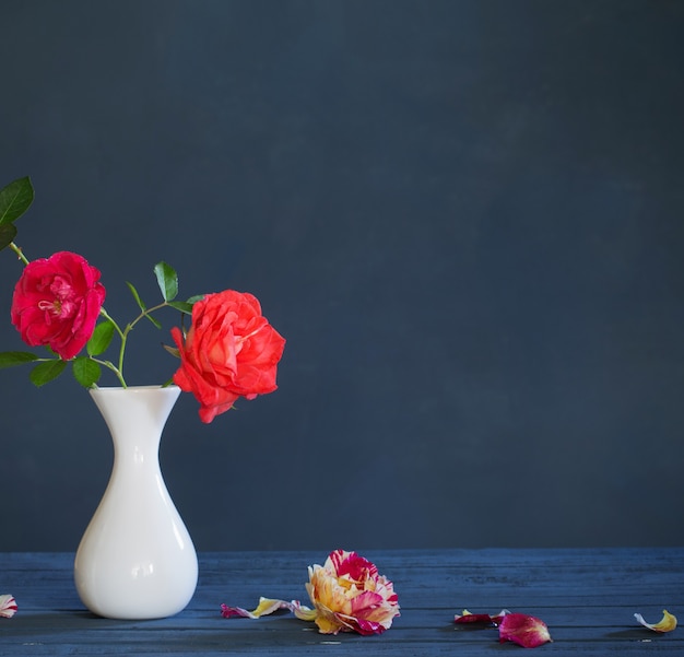 Rosas em um vaso em fundo azul escuro