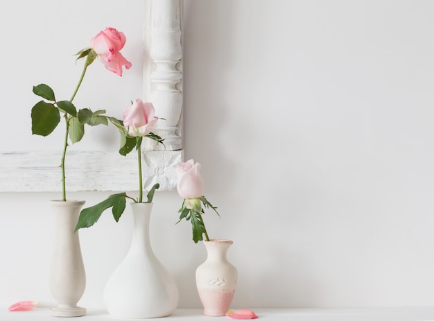 Rosas em um vaso em um fundo branco