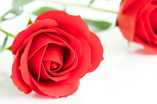 Rosas falsas de plástico rojo sobre blanco