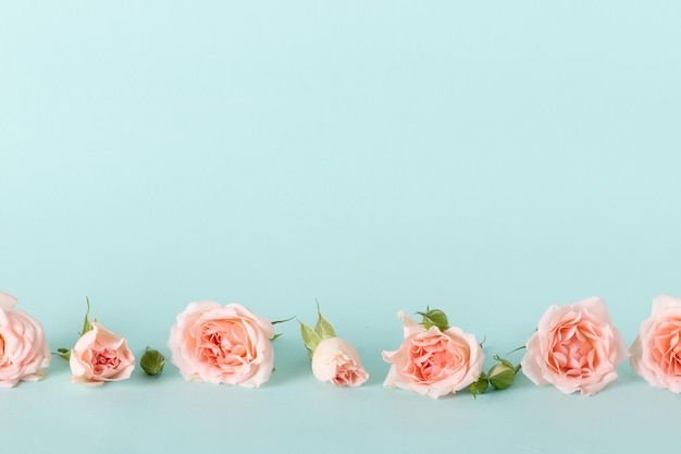 Rosas en una fila sobre un fondo azul con un espacio para texto Fondo para un banner de flores de San Valentín desnudo