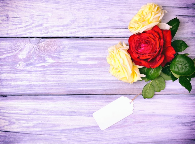 Rosas florescendo e uma etiqueta em branco de papel