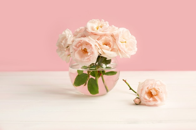 Rosas de jardín de luz tierna en un jarrón transparente sobre superficie rosa pastel