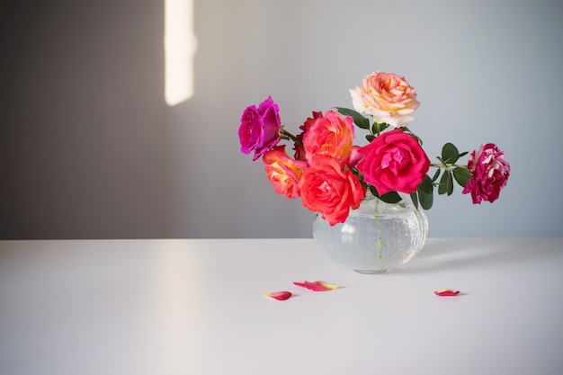 rosas en jarrón blanco sobre fondo gris