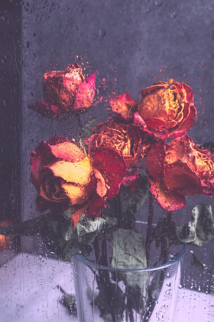 Foto rosas laranjas secas flores desbotadas bonitas através do vidro com gotas de chuva conceito de amor triste