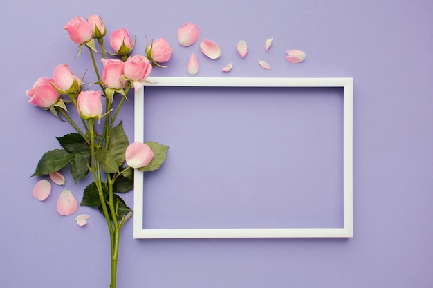 Foto rosas con marco al lado