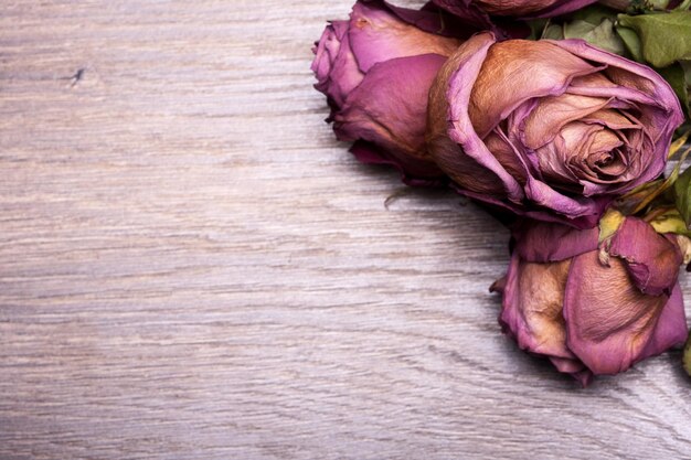 Rosas muertas sobre fondo de madera vintage en foto de estudio