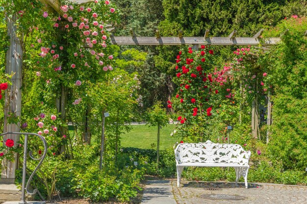 Rosas en el parque floral de la isla de mainau