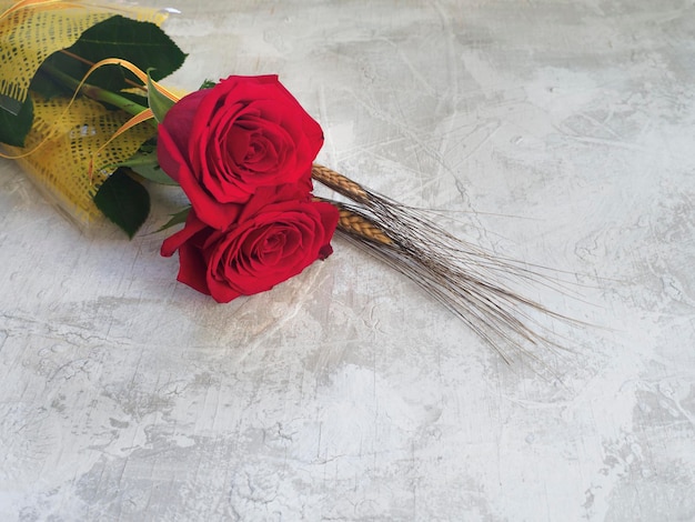 Foto rosas rojas aisladas sobre fondo blanco para san valentín o san jorge