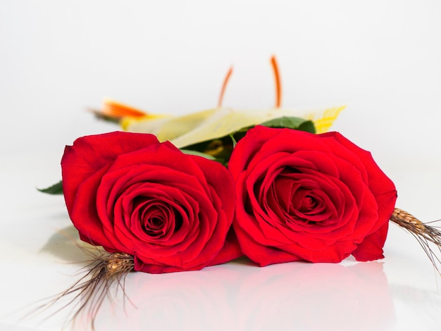 Foto rosas rojas aisladas sobre fondo blanco para san valentín o san jorge