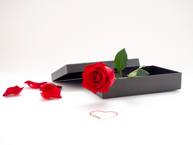 Rosas rojas con caja de regalo en el día de San Valentín