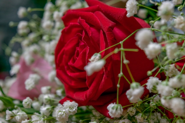 Rosas rojas colocadas sobre la mesa.