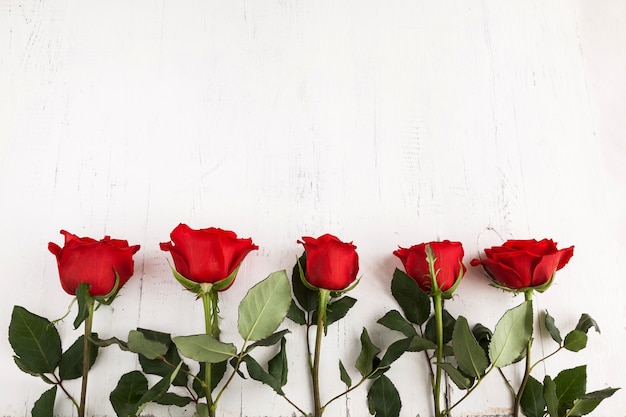 Rosas rojas para el día de san valentín.