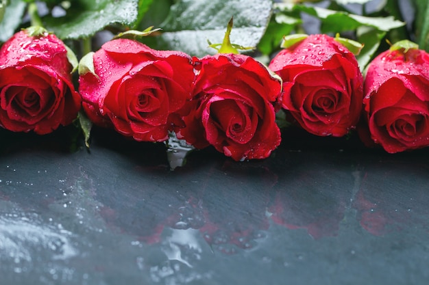 Rosas rojas para el fondo de San Valentín