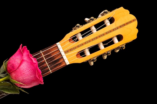 Rosas rojas en guitarra, amor, concepto de San Valentín