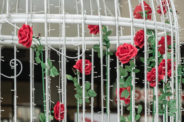 Rosas rojas en jaula