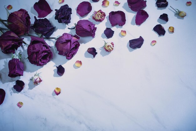 Rosas rojas secas sobre fondo de mármol