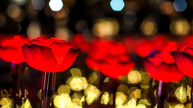 Rosas rojas sobre fondo abstracto bokeh para el amor Tarjeta de felicitación del día de San Valentín