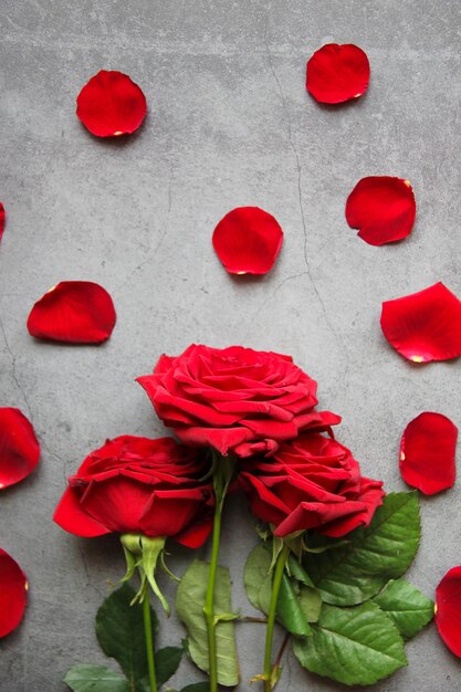 Rosas rojas sobre un fondo gris Tarjeta para el Día de San Valentín 8 de marzo