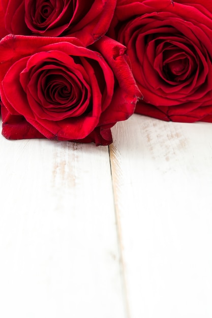 Foto rosas rojas sobre superficie de madera blanca