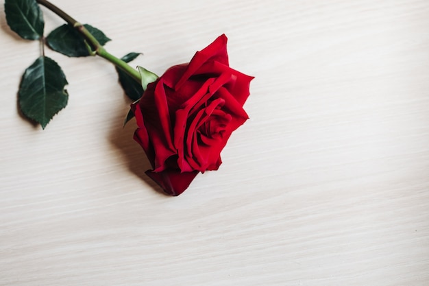 Rosas rojas sobre tablero de madera, fondo del día de San Valentín, día de la boda
