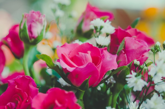 Rosas rojas de la vendimia