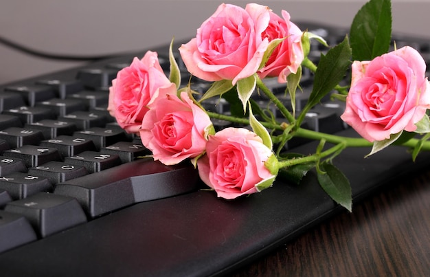 Rosas rosadas en la comunicación por internet de primer plano del teclado