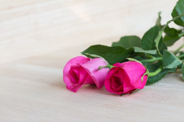 Rosas rosadas en el día de san valentín, fondo romántico