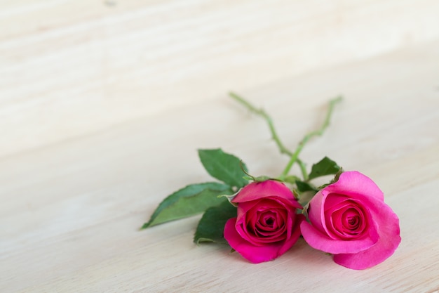 Foto rosas rosadas en el día de san valentín, fondo romántico