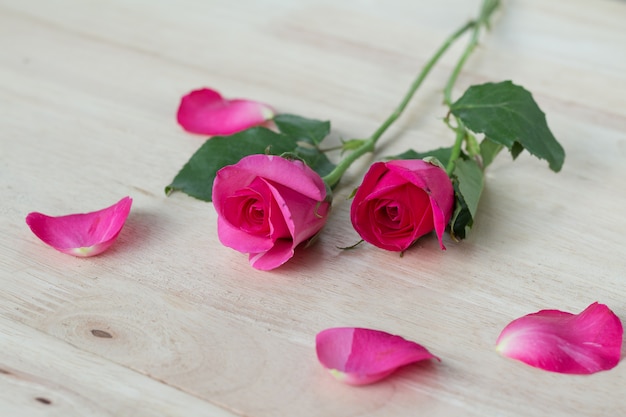 Rosas rosadas en el día de san valentín, fondo romántico