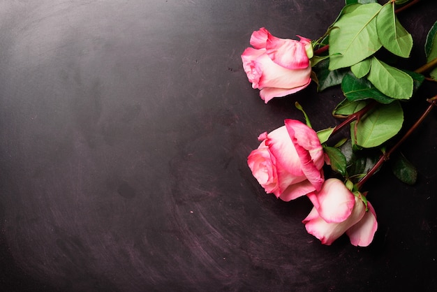 Rosas rosadas en pizarra negra. Feliz día de la mujer. Concepto del día de san valentín Regalo para ella